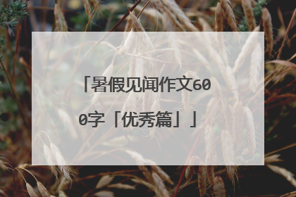 暑假见闻作文600字「优秀篇」