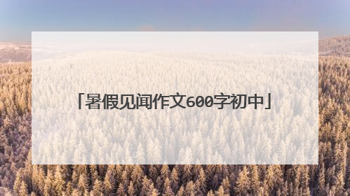 暑假见闻作文600字初中