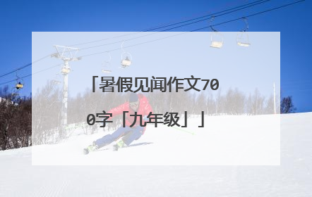 暑假见闻作文700字「九年级」