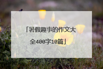 暑假趣事的作文大全400字10篇