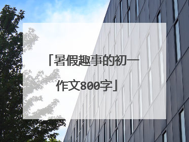暑假趣事的初一作文800字