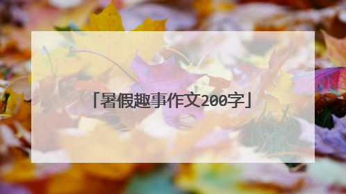暑假趣事作文200字