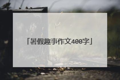 暑假趣事作文400字