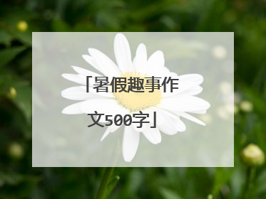 暑假趣事作文500字