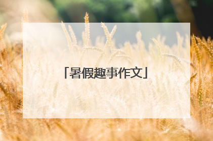 暑假趣事作文