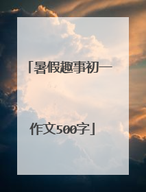 暑假趣事初一作文500字