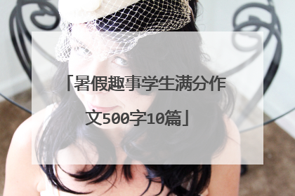暑假趣事学生满分作文500字10篇