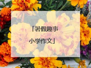 暑假趣事小学作文