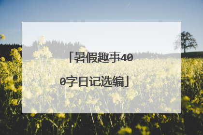 暑假趣事400字日记选编