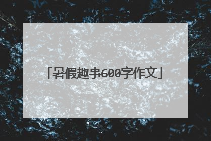 暑假趣事600字作文