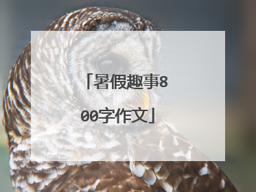 暑假趣事800字作文