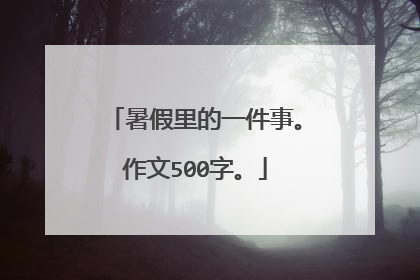 暑假里的一件事。作文500字。