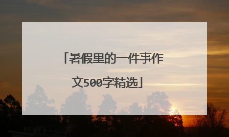 暑假里的一件事作文500字精选