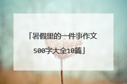 暑假里的一件事作文500字大全10篇