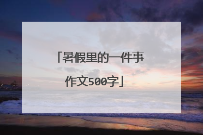 暑假里的一件事作文500字