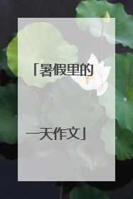 暑假里的一天作文