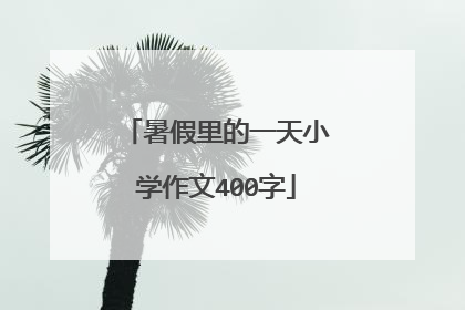 暑假里的一天小学作文400字