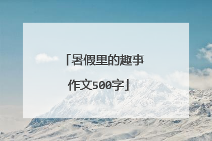 暑假里的趣事作文500字