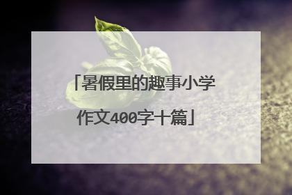 暑假里的趣事小学作文400字十篇