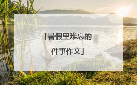 暑假里难忘的一件事作文