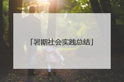 暑期社会实践总结