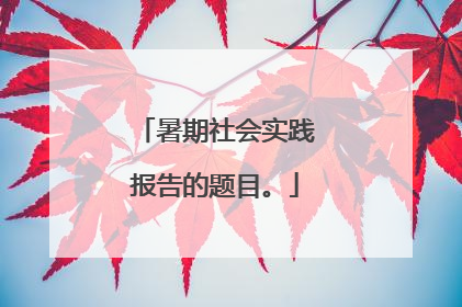 暑期社会实践报告的题目。