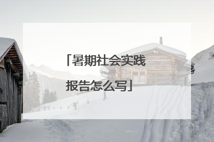 暑期社会实践报告怎么写