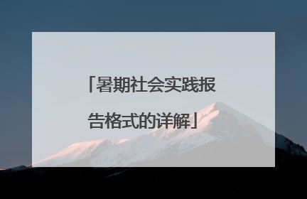 暑期社会实践报告格式的详解