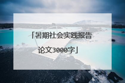 暑期社会实践报告论文3000字