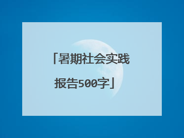 暑期社会实践报告500字