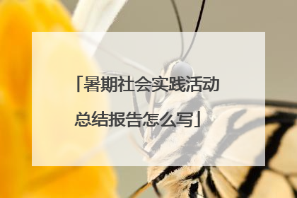 暑期社会实践活动总结报告怎么写