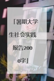 暑期大学生社会实践报告2000字