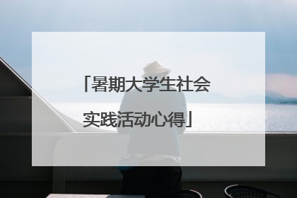 暑期大学生社会实践活动心得