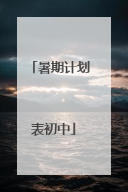 暑期计划表初中