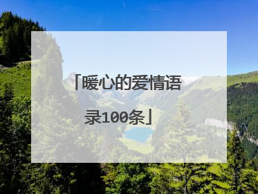 暖心的爱情语录100条