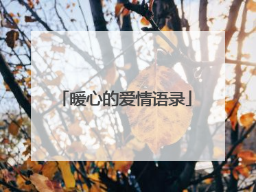 暖心的爱情语录