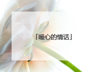 暖心的情话