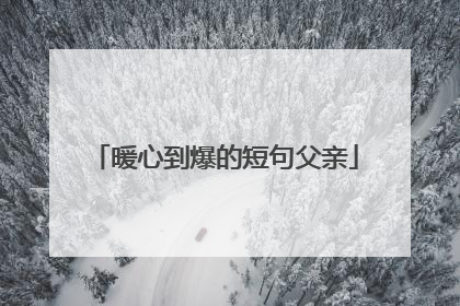 暖心到爆的短句父亲