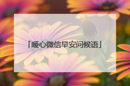 暖心微信早安问候语