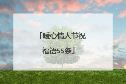 暖心情人节祝福语55条