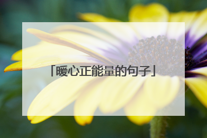 暖心正能量的句子