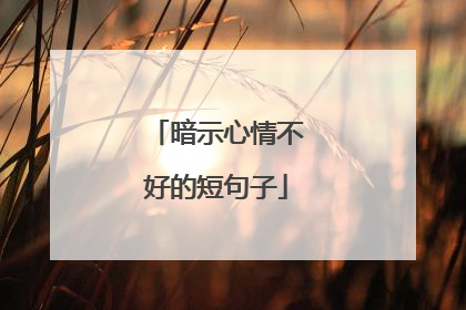 暗示心情不好的短句子