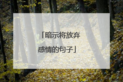 暗示将放弃感情的句子
