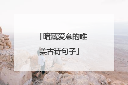 暗藏爱意的唯美古诗句子