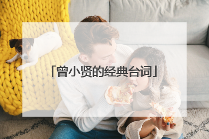 曾小贤的经典台词