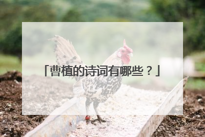 曹植的诗词有哪些？