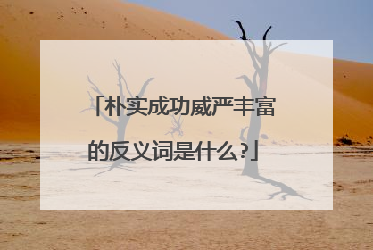 朴实成功威严丰富的反义词是什么?
