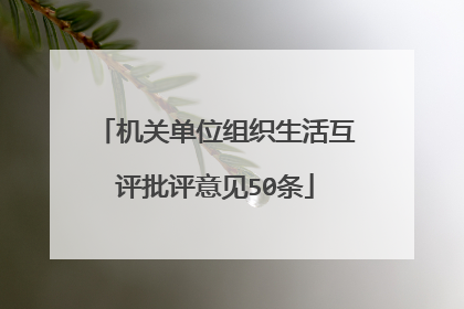 机关单位组织生活互评批评意见50条