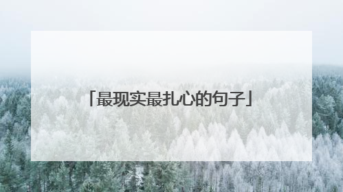 最现实最扎心的句子