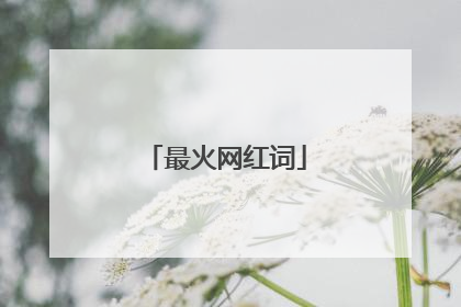 最火网红词